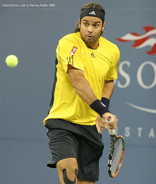 Fernando Gonzalez at US Open 2008