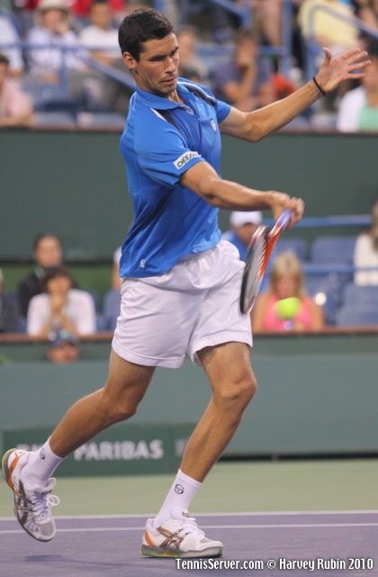 Victor Hanescu Tennis
