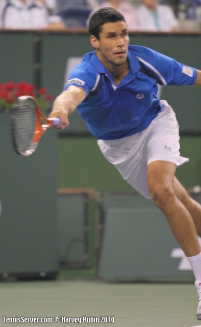 Victor Hanescu Tennis