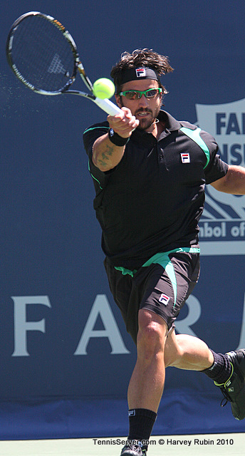 Janko Tipsarevic Tennis