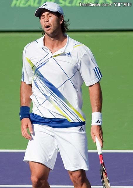 Fernando Verdasco Tennis