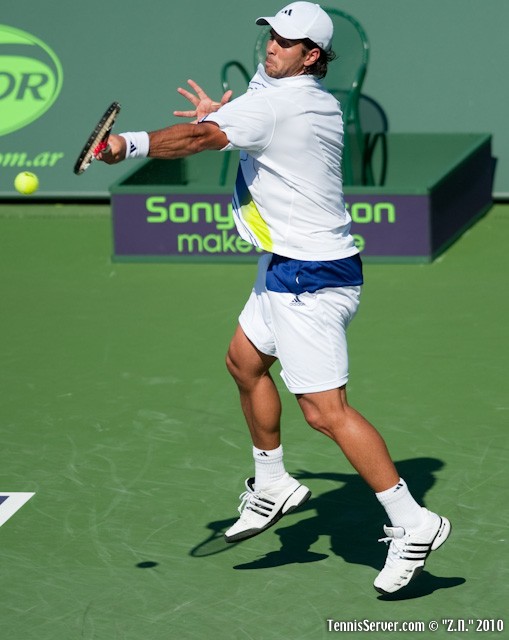 Fernando Verdasco Tennis